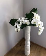 Valérie Sagona image 5