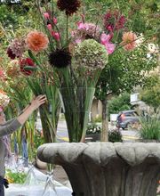 Blumengalerie Mattmann AG Bild 3