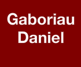 Gaborieau Daniel image 1