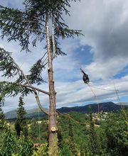 Alp'azur Elagage image 10