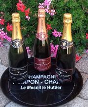 Pompon Champy image 1