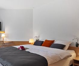 Centra Hotel Zurich Bild 4