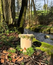 In Memoria Bestattungen GmbH Bild 11