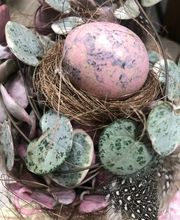 Schaufelbühl AG Blumen und Accessoires, Gartengestaltung Bild 3