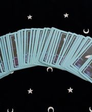 Ricois Arnaud image 1