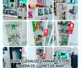LLORET LEGALIZE imagen 7
