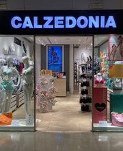 Calzedonia immagine 3