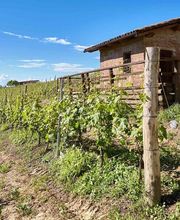 Vinum Verum GmbH Bild 1