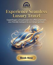 Copenhagen Services | Limo Service Copenhagen, Chauffeur & Airport Transfer billede 2