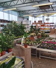 Pirig Gartencenter Bild 5