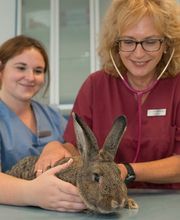 Tierarztpraxis Oppenheim Bild 13