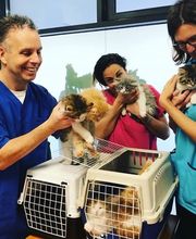 dr. Mazzi Michele Bild 5