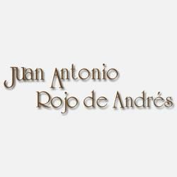 Juan-Antonio-Rojo-de-Andrés.jpg