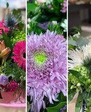 FLEURS ET PASSION image 4