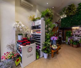 Gallery Professionale
