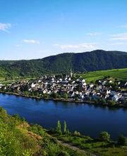 Villa Hausmann - Urlaubsweingut bei Cochem an der Mosel Bild 1