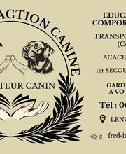 FRED INTERACTION CANINE image 8