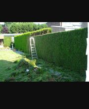 Debarre Elagage image 4