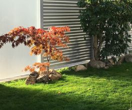 Ing. Adis Avdic alu-home.de Bild 1
