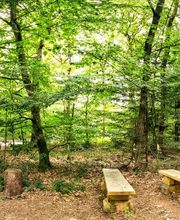 FriedWald Bremer Schweiz Bild 18