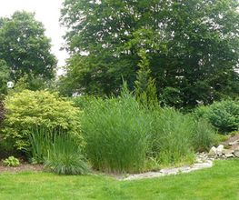 Gartenpflege