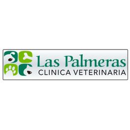 logo_palmeras.png