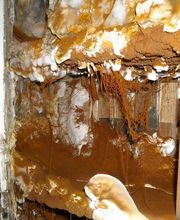 Alpha Service International ASI image 2