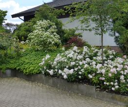 Stark im Garten Bild 29