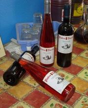 S.A.T 1.431 SAN ESTEBAN imagen 3