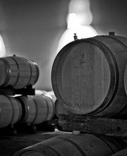 VIGNOBLES MARCEL PETIT image 4