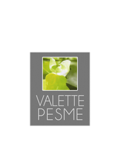 Ets Valette Pesme image 1