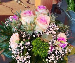 Blumen und Pflanzen Bild 3