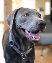 DESIGN PER SE - Jürgen X. Albrecht Bild 5