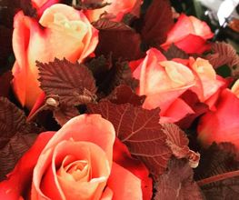 Fleuriste de la Halle Bild 12