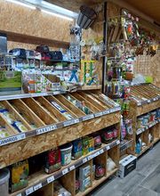 AmaitaVet Clínica Veterinaria imagen 4