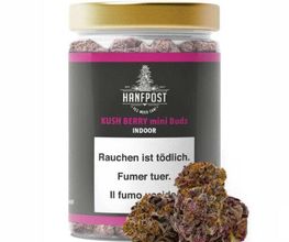 Hanfpost.ch (by Wonderland Trading GmbH) Bild 2
