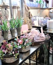 Kaffeeblüte GmbH Bild 2