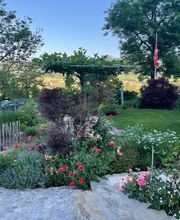 Alain Dutoit Jardinier-Paysagiste Sàrl Bild 8