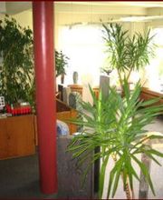 Fantini G. Grabmale Bild 3