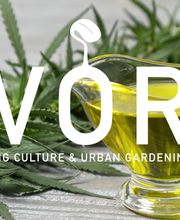 IVORY Stuttgart Bild 12