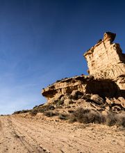 McRent Warendorf Bild 4