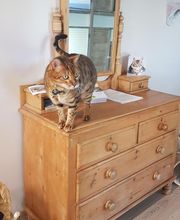 Pattenrond & Cie image 10