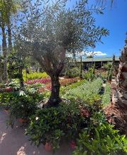 Villaverde Grimaud image 5