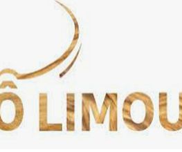 O LIMOUSI image 4