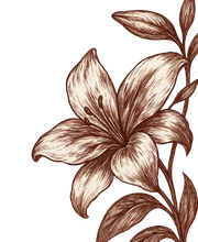 AAA48 Langogne image 5