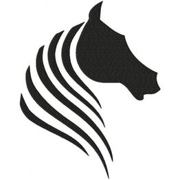 Evo Car Service Srl logo