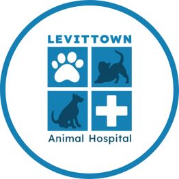 Levittown Animal Hospital