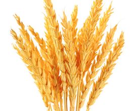 RODI GmbH Bild 9