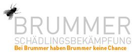 Kurt Brummer Schädlingsbekämpfung