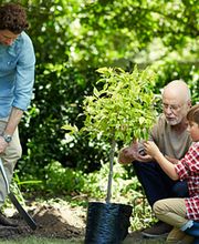 Bestattungsinstitut Winter Bild 9